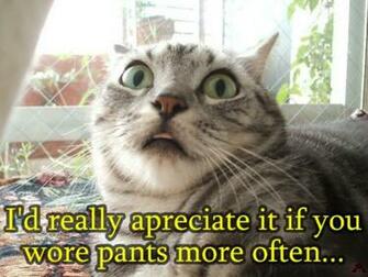 Funny Animal Pictures With Words For