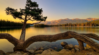 Nature Wallpaper
