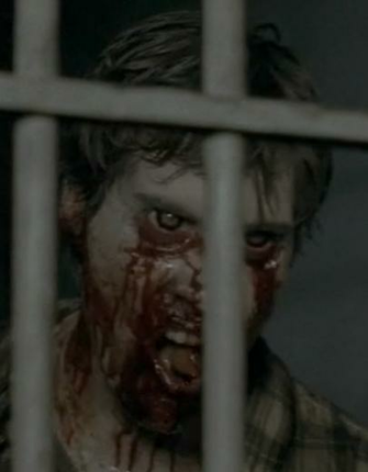 Background Survivors Tv Series Prison Community Walking Dead Wiki