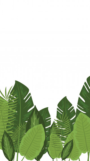 Top Minimalist Plant Wallpaper Full HD 4k To Use