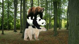 We Bare Bears In Real Life By Fuzzyart300