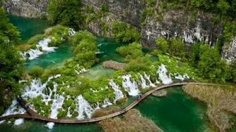 Tropical Green Paradise UHD Wallpaper Ultra High Definition