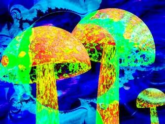 Trippy Shrooms Wallpaper Magic Mushroom V2 By