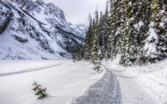 Winter Season Wallpaper