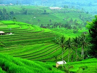 Beautyfull Nature Picture Bali Wallpaper Compilation HD