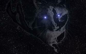 Space Cat Wallpaper