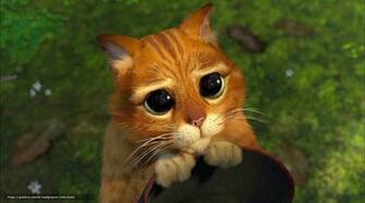 Wallpaper Cat Cartoon Shrek Pity Desktop In