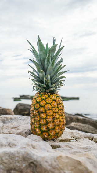 Pineapple Wallpaper