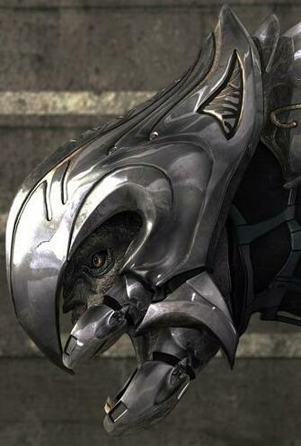 Photo Of Halo