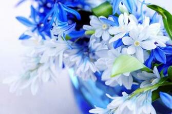 Spring Wallpaper Desktop HD