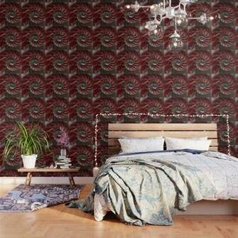 Closeup Of Red Ammonite Shell Wallpaper By Jaroslawblaminsky