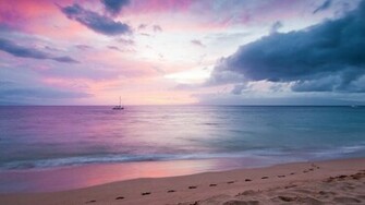 Wallpaper Background Holiday Beach Pink WallzoneHD
