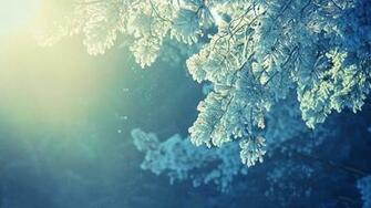 Winter High Definition Wallpaper Quality