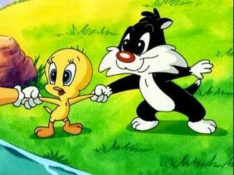 Baby Tweety And Sylvester Bird Photo