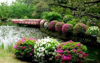 Japanese Garden Wallpaper
