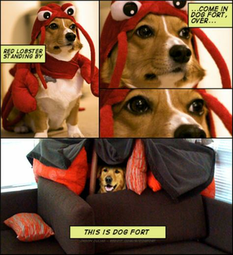 We Are Living In The Corgi Epoch Here S Why Geekosystem