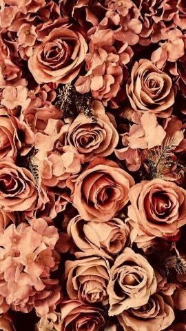 Fall Flower Wallpaper