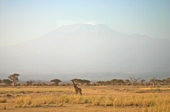 African Safari Background From Votes