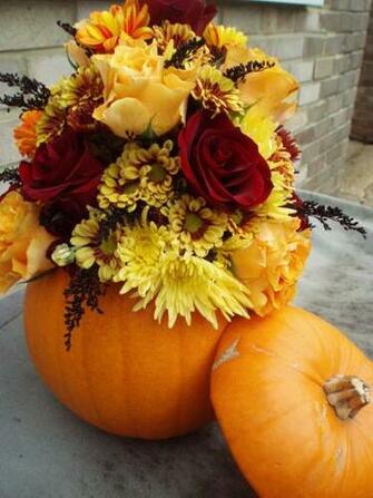 Fall Pumpkin Pictures HD Wallpaper Lovely