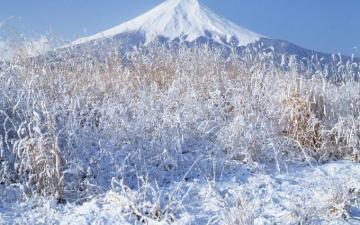 Japan Winter Snow Mount Fuji Wallpaper