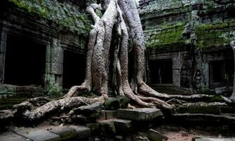 Temple Best Wallpaper Baltana