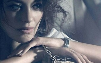 Marion Cotillard Wallpaper