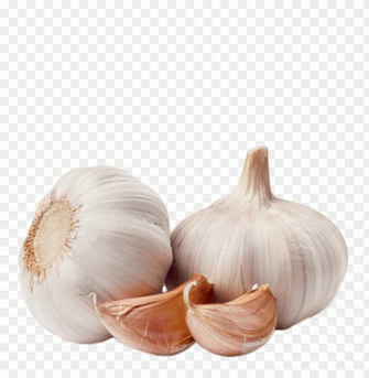 Garlic Png Image Background Toppng