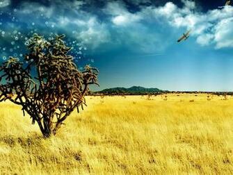 Field Screen Wallpaper Monitor Mobile HD