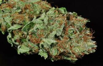 Purple Voodoo Buds HD Weed Wallpaper