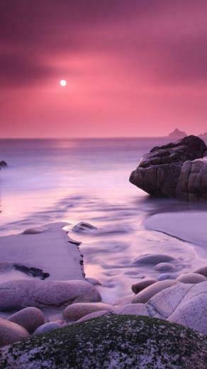 Nature Nexus Wallpaper HD And Background