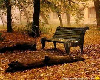 Daydreams First Day Of Fall