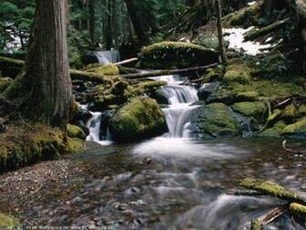 Pictures Most Beautiful Waterfall Wallpaper