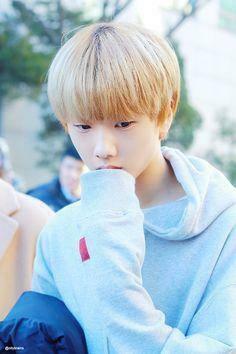 Jisung Nct Dream Resor