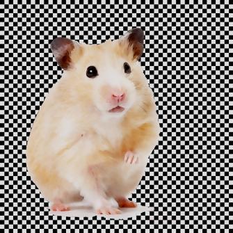 Hamster Background Clipart Pet Dog White Transparent Clip Art