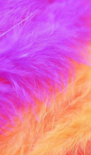 Pastel Rainbow Colored Background Unicorns In
