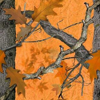 Outdoor Fall Transition Camo Camouflage Licensing Graphics Design