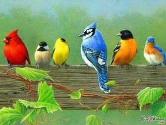 Beautiful Birds Wallpaper For Desktop Of Cool