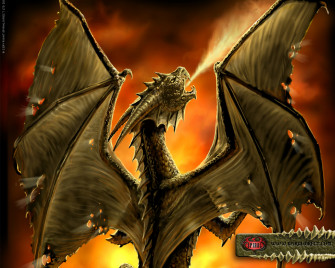 Draak Wallpaper