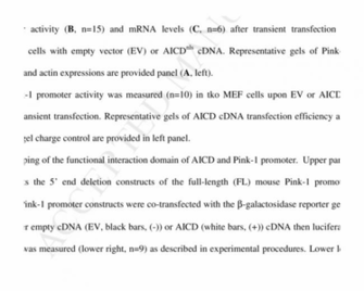 Aicd Controls Pink Transcription Via Foxo3a Best Ghazal In