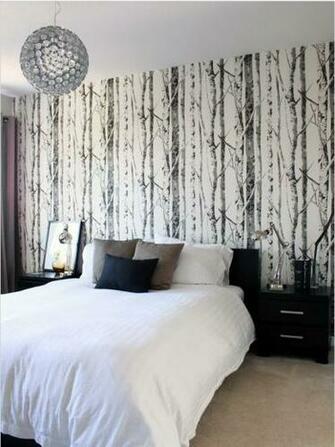 Eh61008 Contemporary Black And White Birch Tree Wallpaper From Eco
