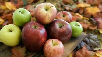Autumn Apples Wallpaper High Quality
