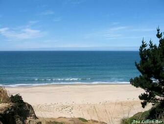 Northern California Beach By Analillithbar Fedw