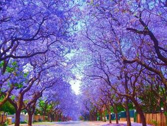 Spring Wallpaper HD
