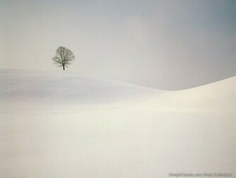 Nature Wallpaper Gallery