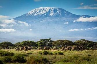 Mount Kilimanjaro HD Wallpaper