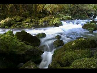 Beautiful River Wallpaper Pictures