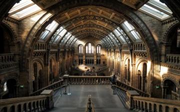 Museum Interior Pictures Image