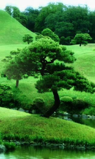 Desktop Wallpaper Zen Garden