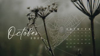 And Customizable October Templates