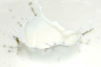 Milk Wallpaper Jn89qw4 Wallpaperexpert